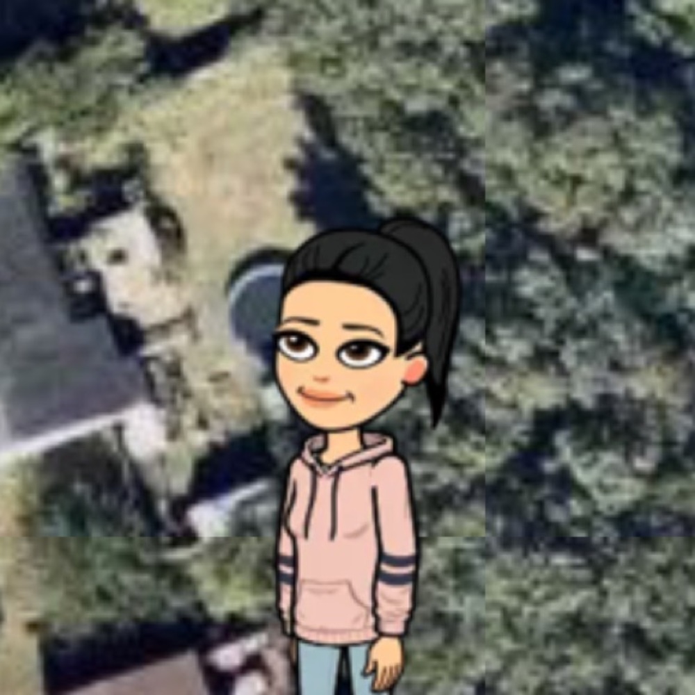 Meet your Posher, Thanh